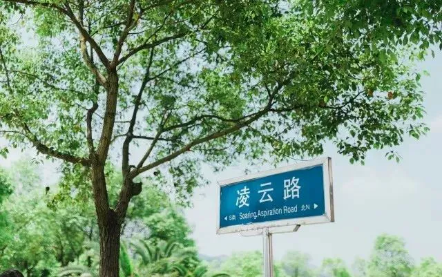 一周篮球训练计划安排怎么写_1